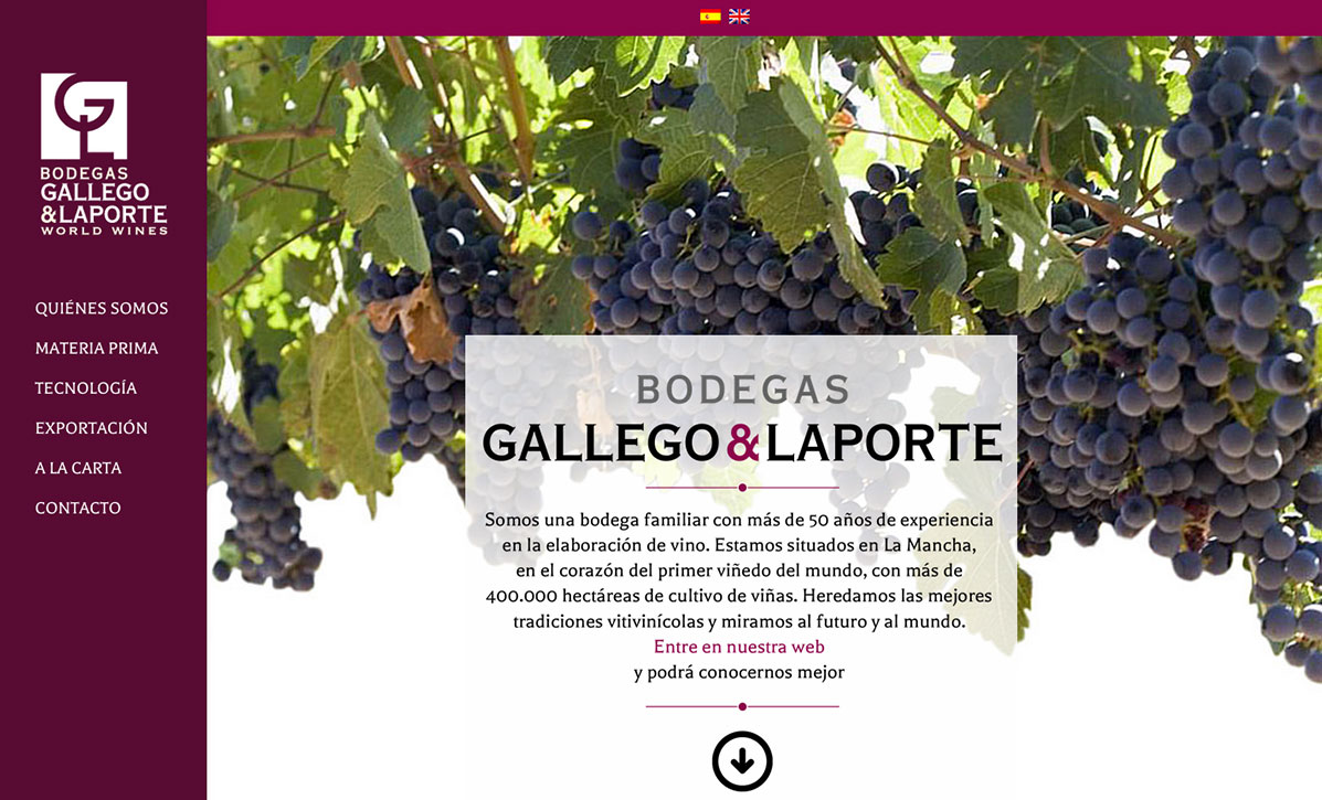 portada web bodegas Gallego&Laporte