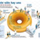 Infografía. Donuts sólo hay uno por Visual Thinking