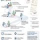 Infografía. Estrategias de fidelización de clientes