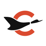 trabajos para Canard Drones